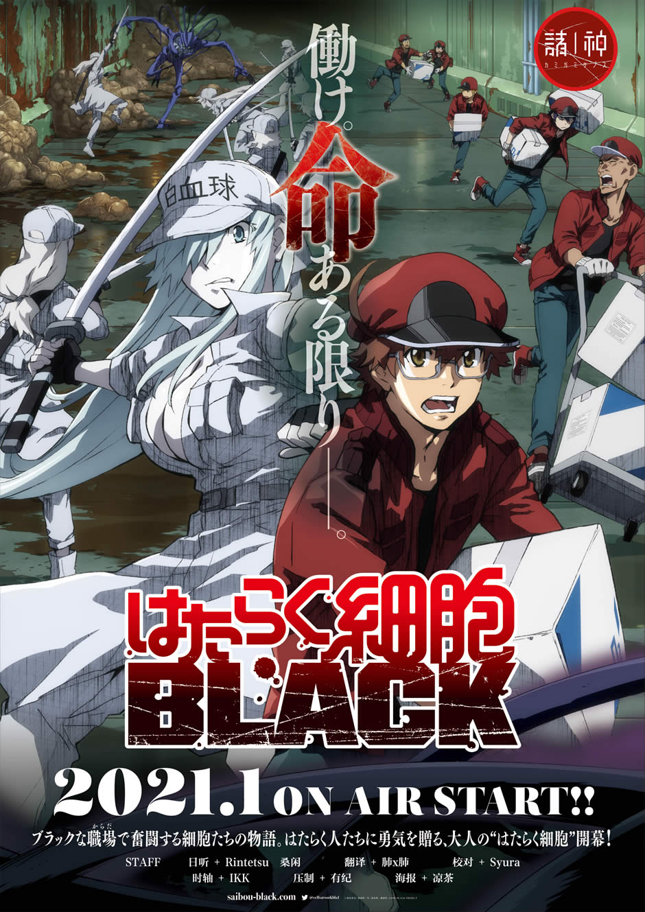 工作细胞black 更新至13 7p 1080p Tvrip 中日双语字幕 诸神字幕组